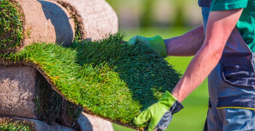 Mora Property Service East Texas Lawn Landscape And Tree Care