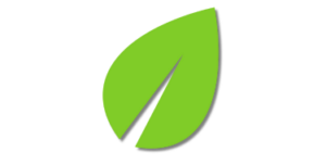 MORA PROPERTY SERVICE LEAF ACCENT