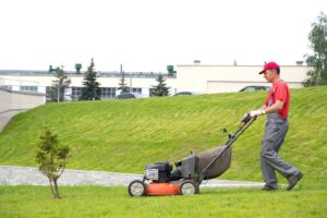 Mora Property Service East Texas Lawn Landscape And Tree Care