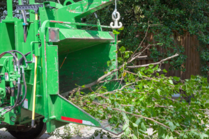 Mora Property Service East Texas Tree Services Commercial Residential Storm Emergency